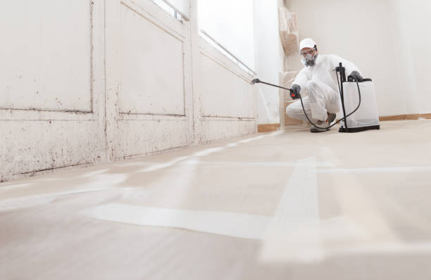 Post-remediation clearance in Washington Grove